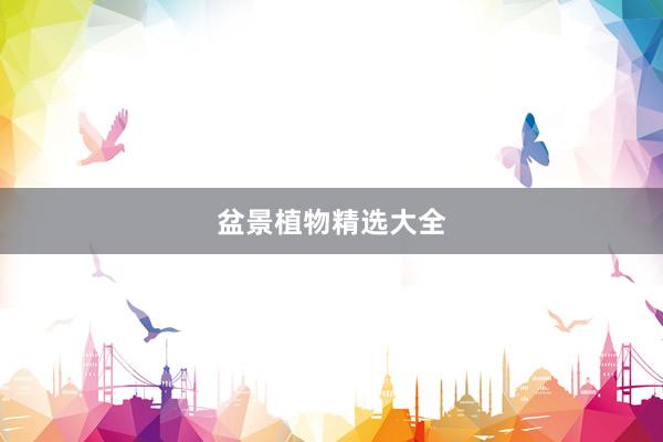 盆景植物精选大全