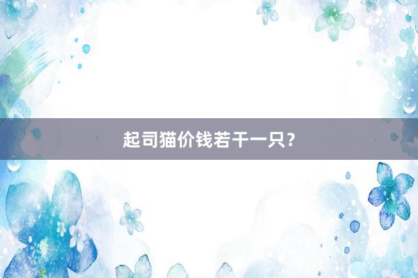 起司猫价钱若干一只？