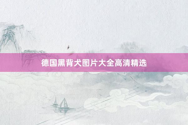 德国黑背犬图片大全高清精选