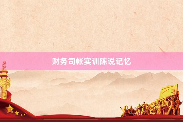 财务司帐实训陈说记忆